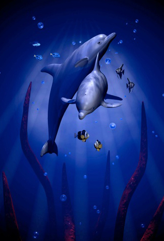 3D dolphins