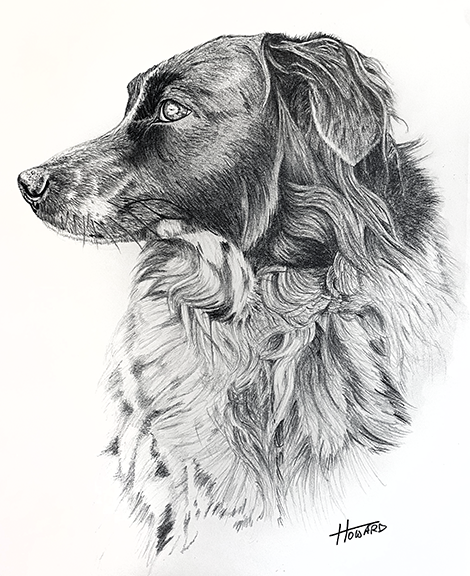 Camper%20Pencil%20Portrait