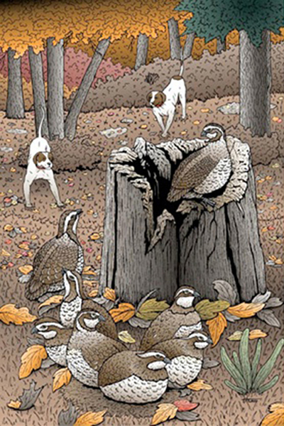 Dogs And-Quail400x600